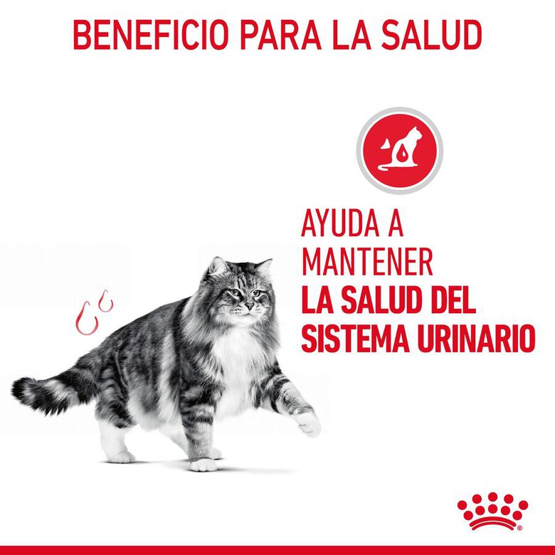 Royal Canin Urinary ração para gatos, , large image number null